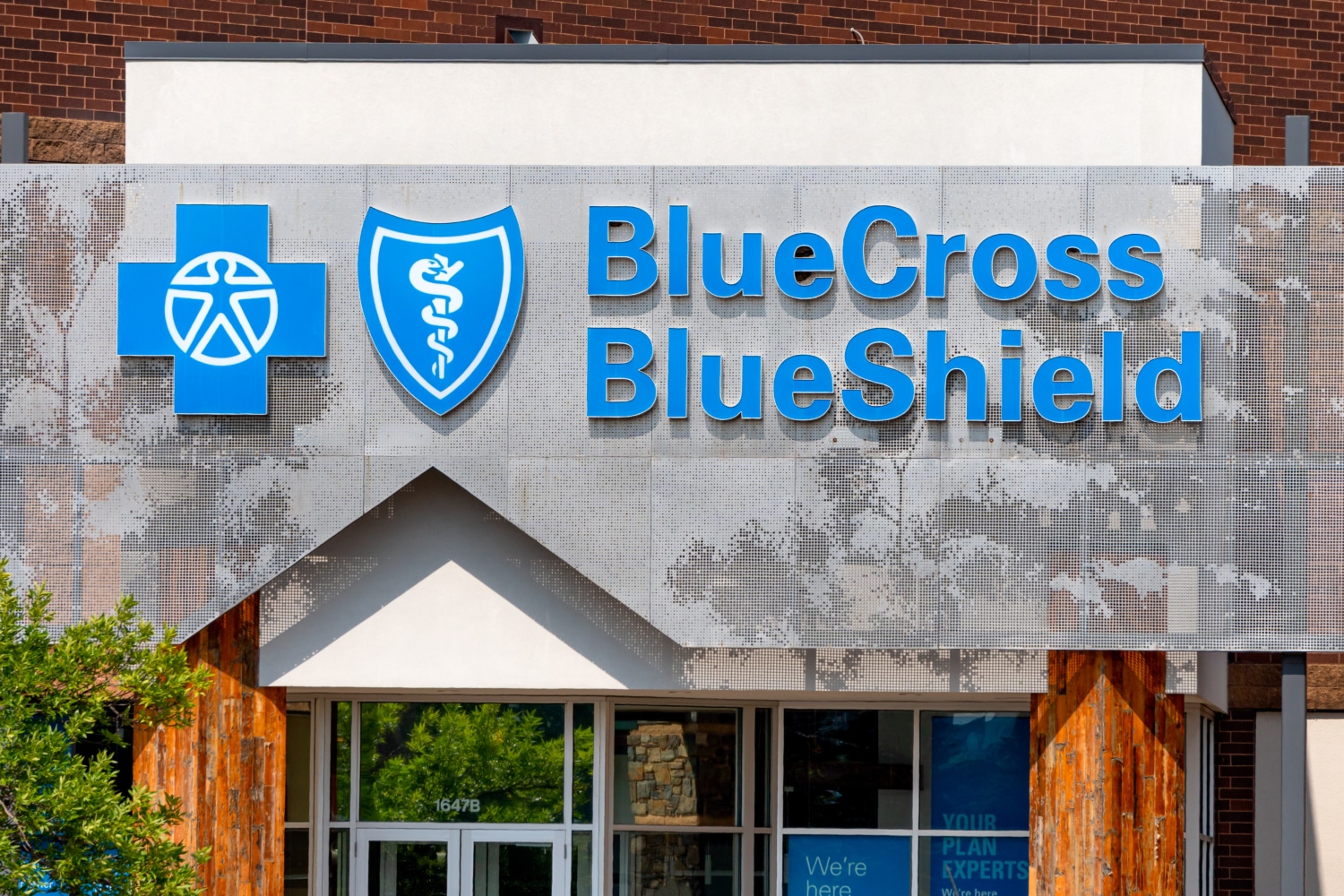 Blue Cross Blue Shield Mental Health Therapy