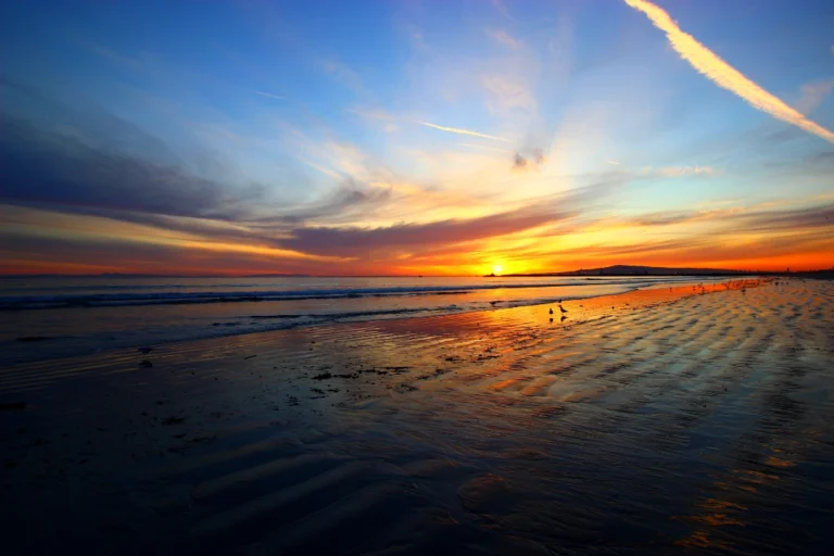 Seal Beach CA