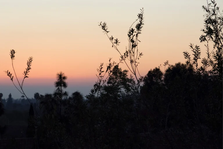 Close-up view of rugged, rocky mountainside with sparse vegetation under a partly cloudy sky, located in El Cajon, California.