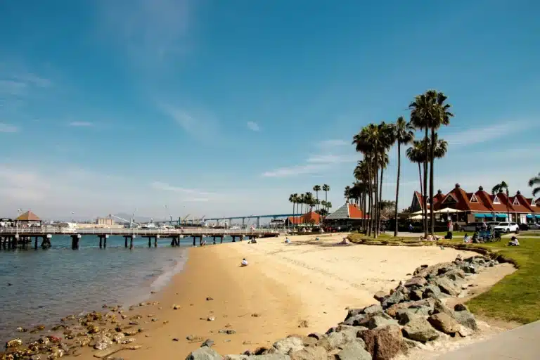 Sunny beachfront with palm trees and calm waters at Coronado Ferry Landing near San Diego, a peaceful setting close to residential mental health treatment.
