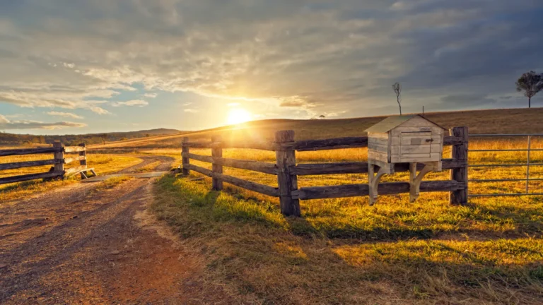 A picturesque view of 4S Ranch, California, featuring tree-lined streets, modern suburban homes, and landscaped parks set against gentle hills and sunny blue skies.