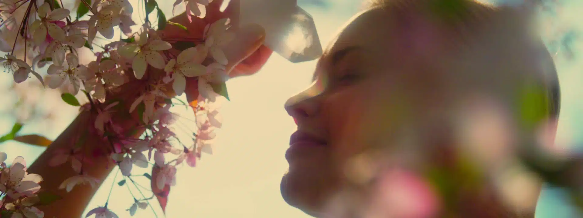 Visual roadmap of the seven stages of trauma recovery