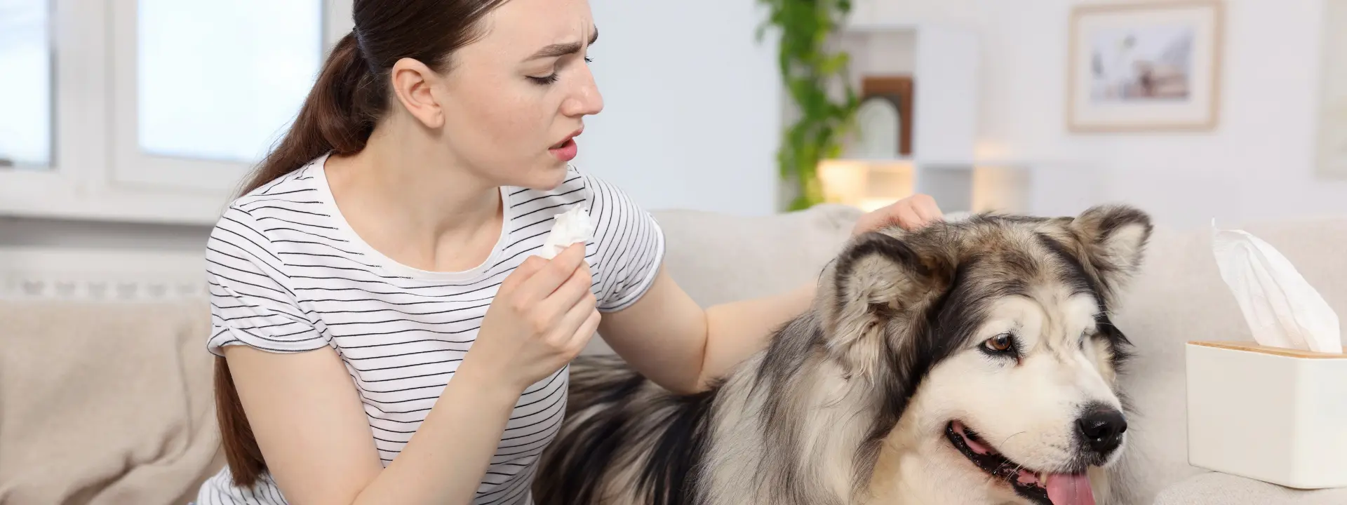 Can you bring pets to residential treatment