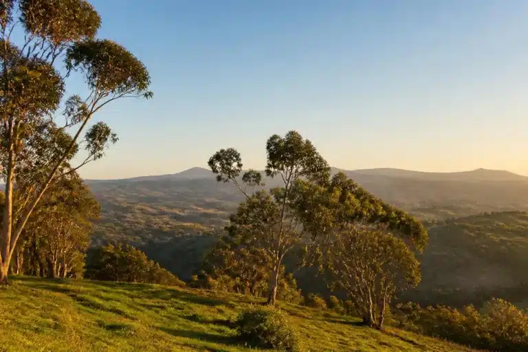 Residential mental health treatment near Eucalyptus Hills providing structured care for lasting emotional healing.