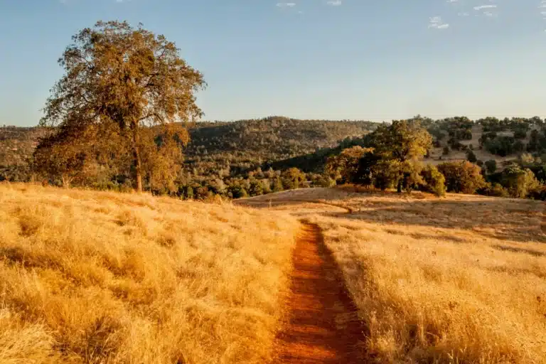 Trusted mental health support near Hidden Meadows for anxiety, depression, and emotional healing