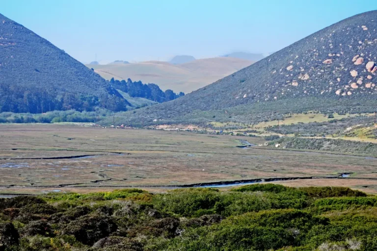 Residential Mental Health Treatment Near Elfin Forest
