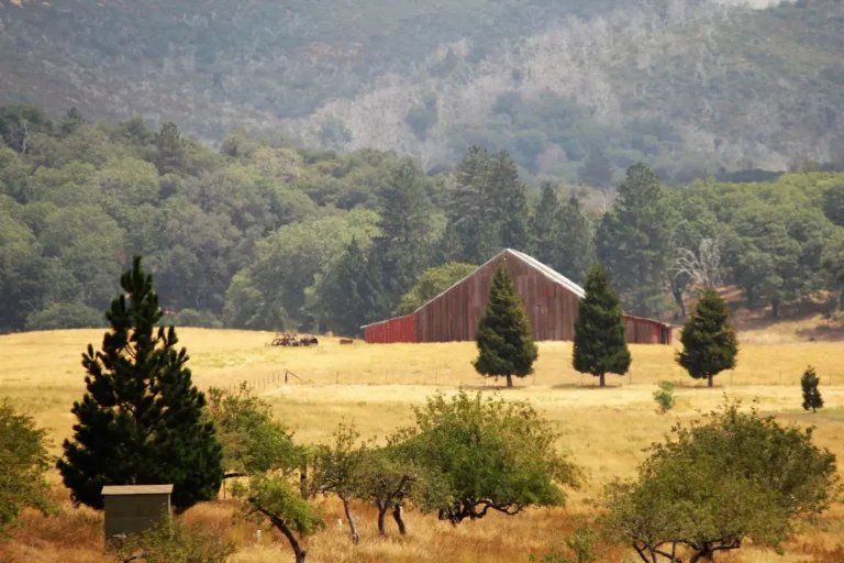 Finding compassionate residential mental health care near Julian