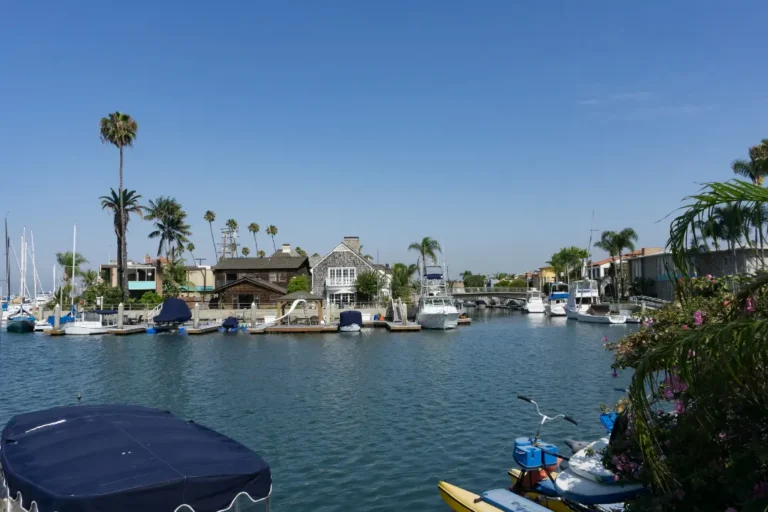 Mental health care for greater stability near Los Alamitos.