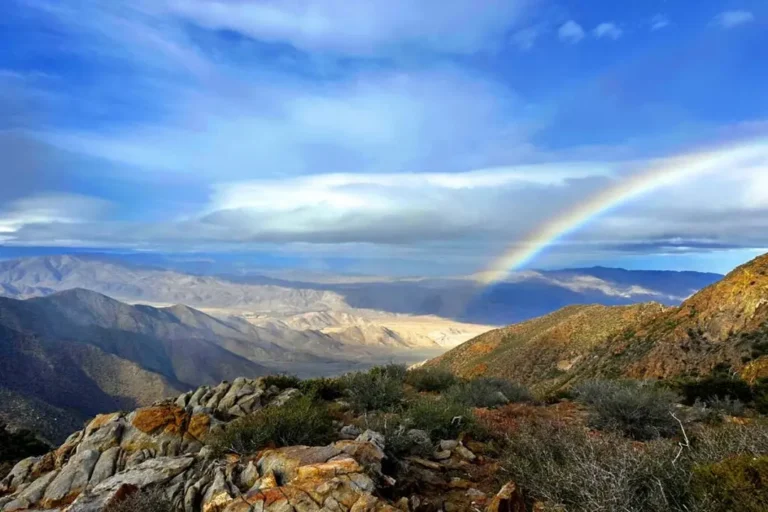 Supportive mental health care near Mount Laguna.
