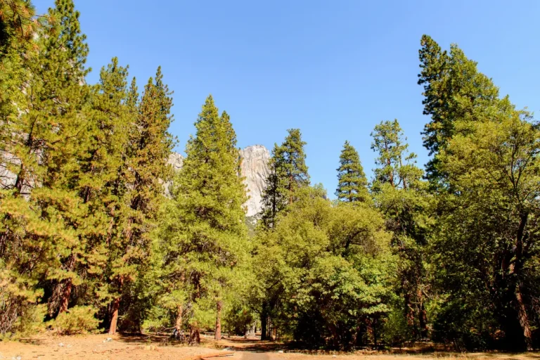 Supportive mental health treatment near Pine Valley.